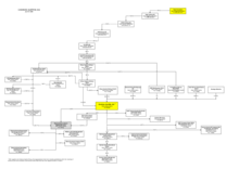 Organigramm Beteiligungsverhältnisse