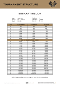 Turnierstruktur Mini CAPT Million 30.11.24